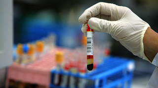'Immortalized' Stem Cells Could Be the Key to Mass-Produced Artificial Blood